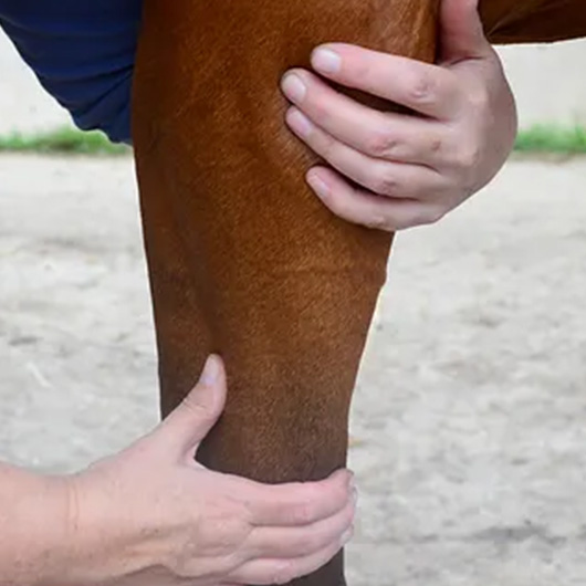 equied-gallery Lymphatic Drainage