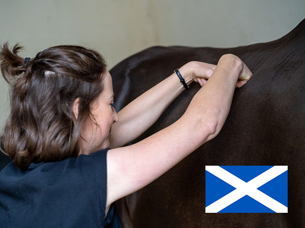 scotland-equied-course-massage