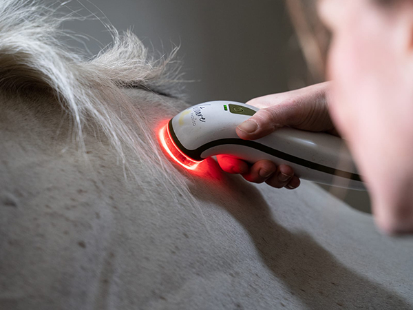 equied-online-course-phototheraphy