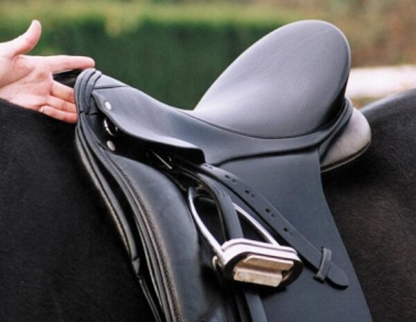 saddle_fit_withers_clearance